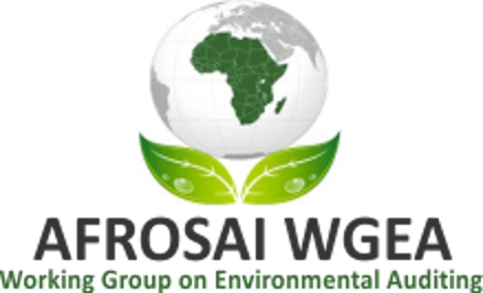 AFROSAI WGEA